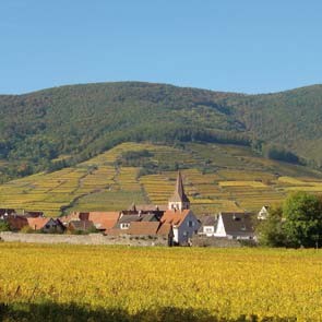 b&b- chambres-winstub-route-des-vins-alsace